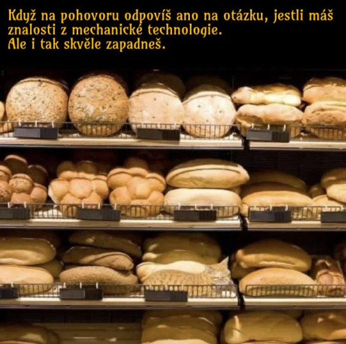 optický klam: na pohovoru